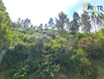 Terreno para Venda em Castelo