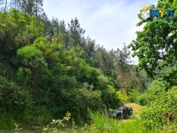 Terreno para Venda em Castelo