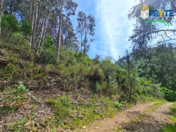 Terreno para Venda em Castelo