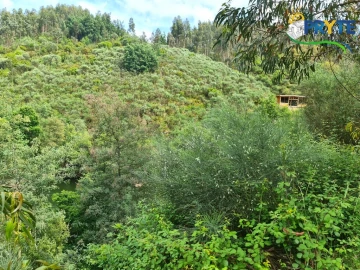 Terreno para Venda em Castelo