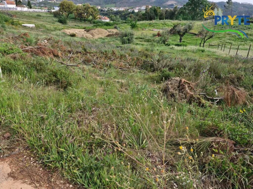 Terreno para Venda em Sertã Foto 4