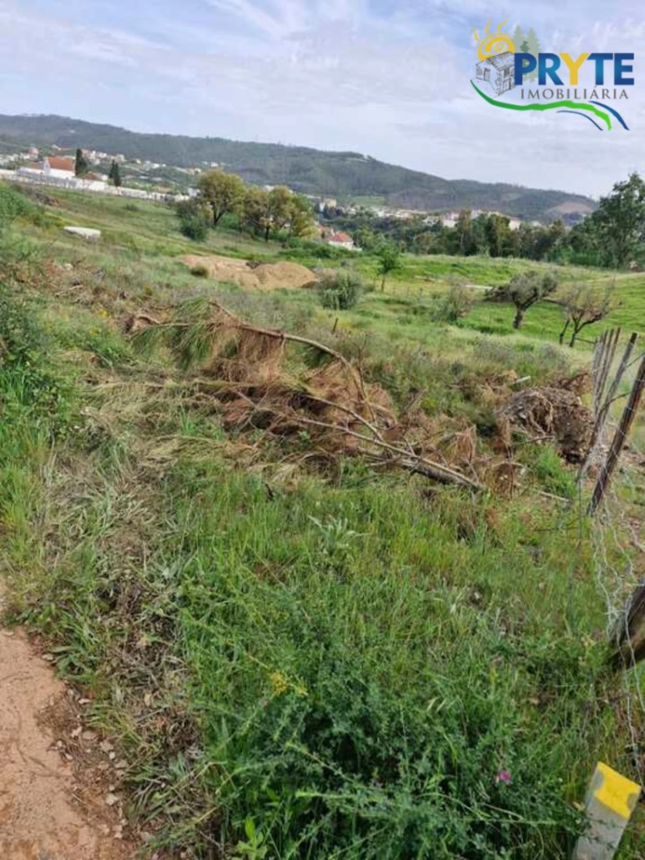 Terreno para Venda em Sertã Foto 5