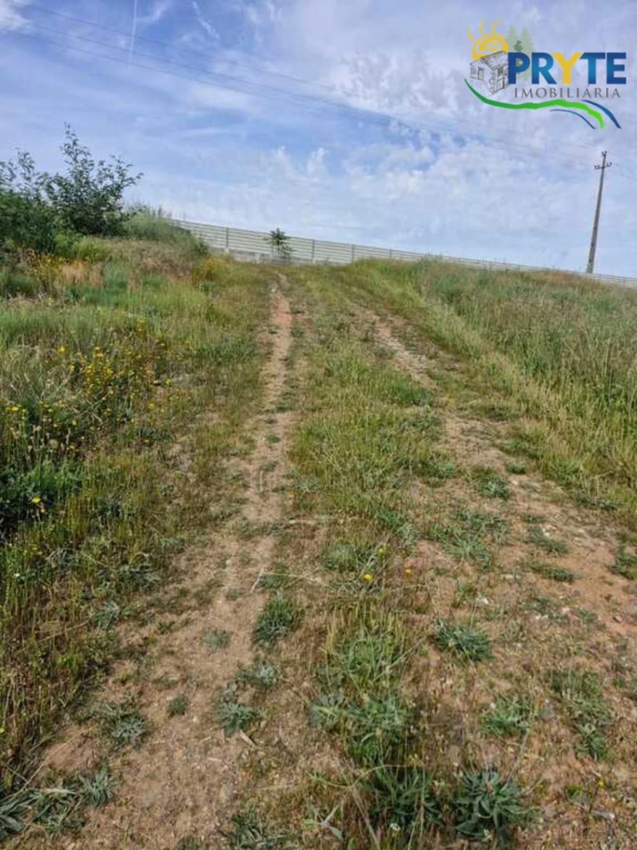Terreno para Venda em Sertã Foto 7