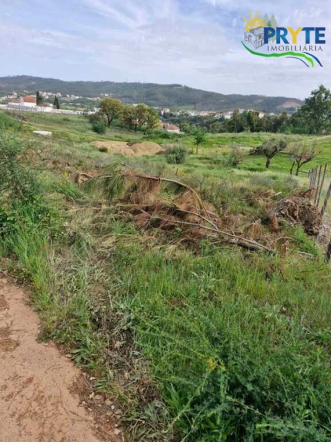 Terreno para Venda em Sertã