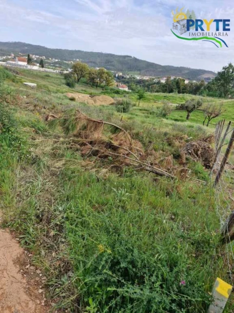 Terreno para Venda em Sertã
