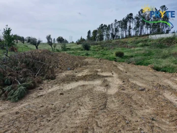 Terreno para Venda em Sertã