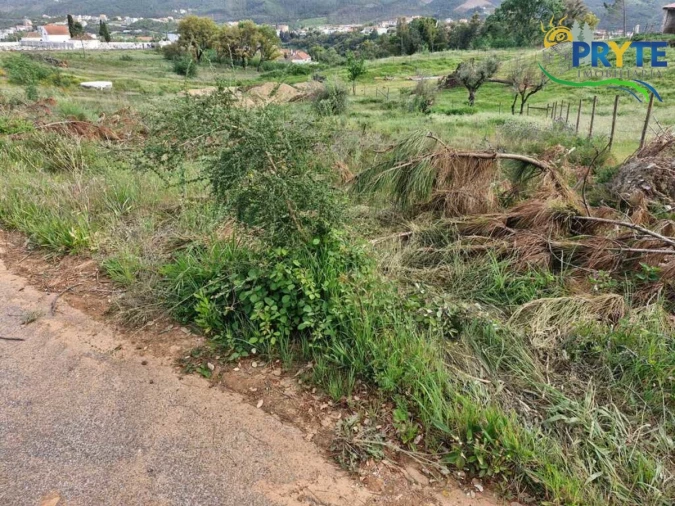 Terreno para Venda em Sertã Foto 2