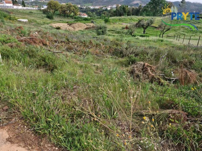 Terreno para Venda em Sertã Foto 4