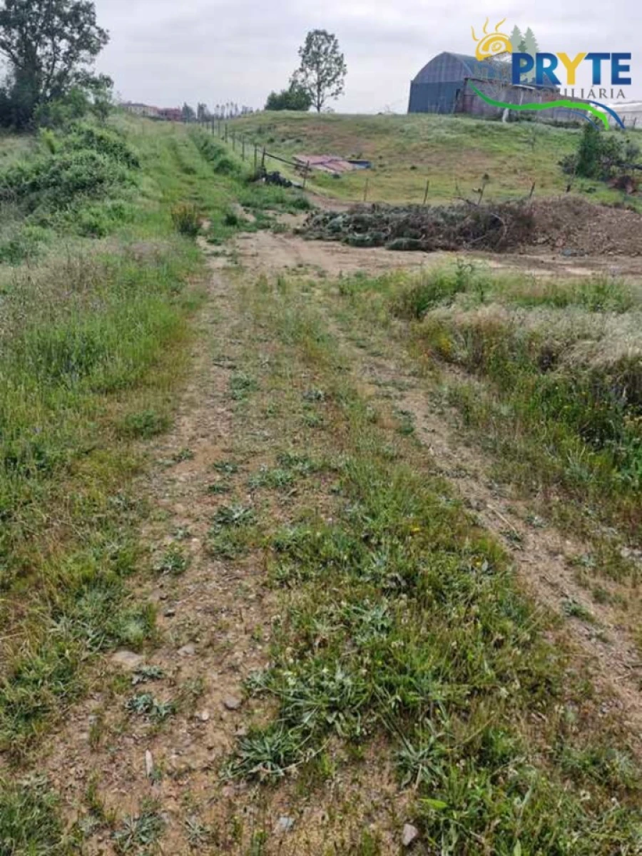 Terreno para Venda em Sertã Foto 6