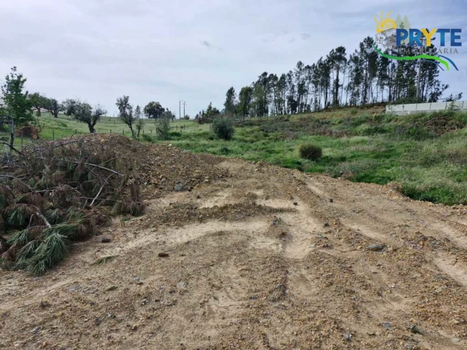 Terreno para Venda em Sertã Foto 8