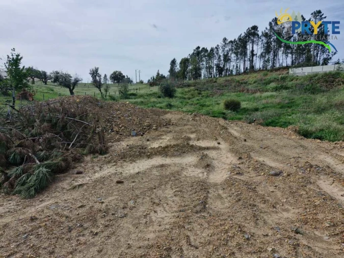 Terreno para Venda em Sertã Foto 9