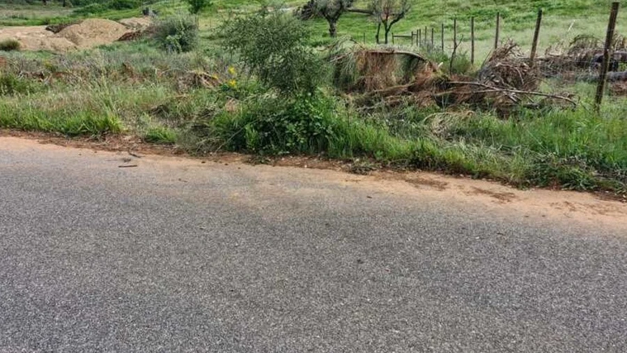 Terreno para Venda em Sertã