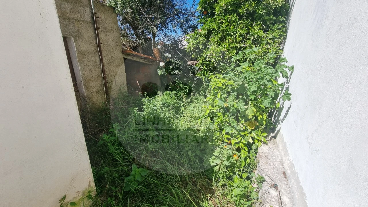 Moradia T1 para Venda em Almodôvar e Graça dos Padrões Foto 28