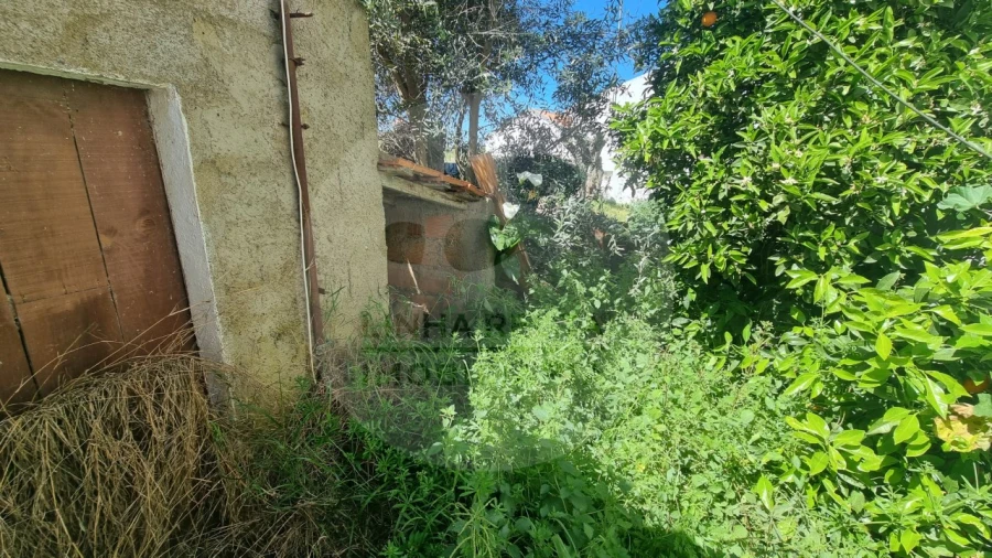 Moradia T1 para Venda em Almodôvar e Graça dos Padrões Foto 27