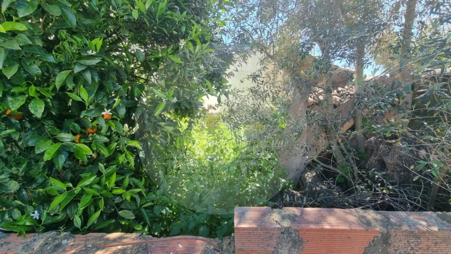 Moradia T1 para Venda em Almodôvar e Graça dos Padrões Foto 30