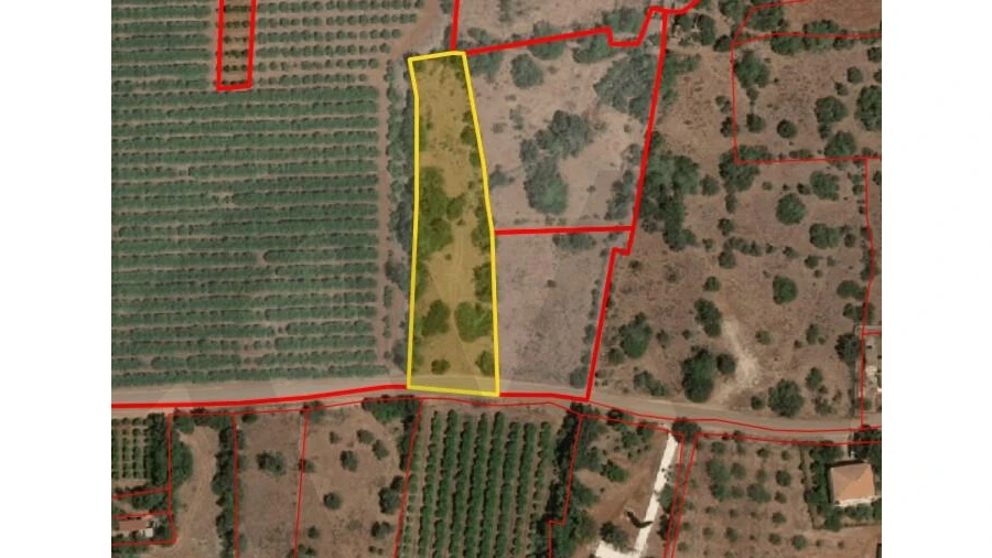 Terreno para Venda em Alcantarilha e Pêra