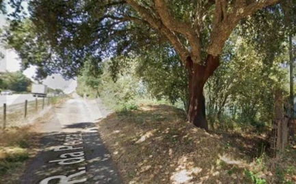 Terreno para Venda em São João da Madeira