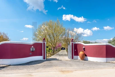 Quinta T4 para Venda em Corval