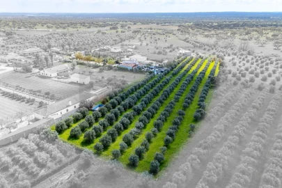 Quinta T4 para Venda em Corval