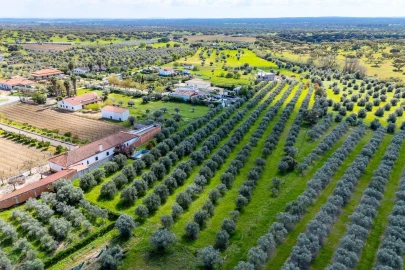 Quinta T4 para Venda em Corval