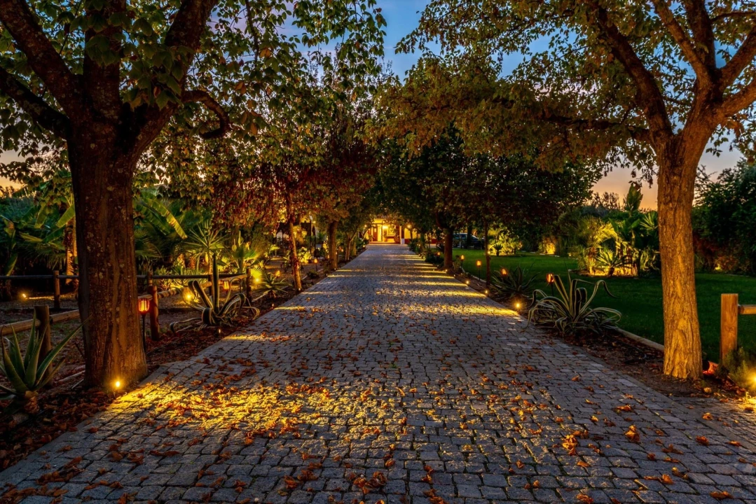 Quinta T4 para Venda em Corval Foto 2