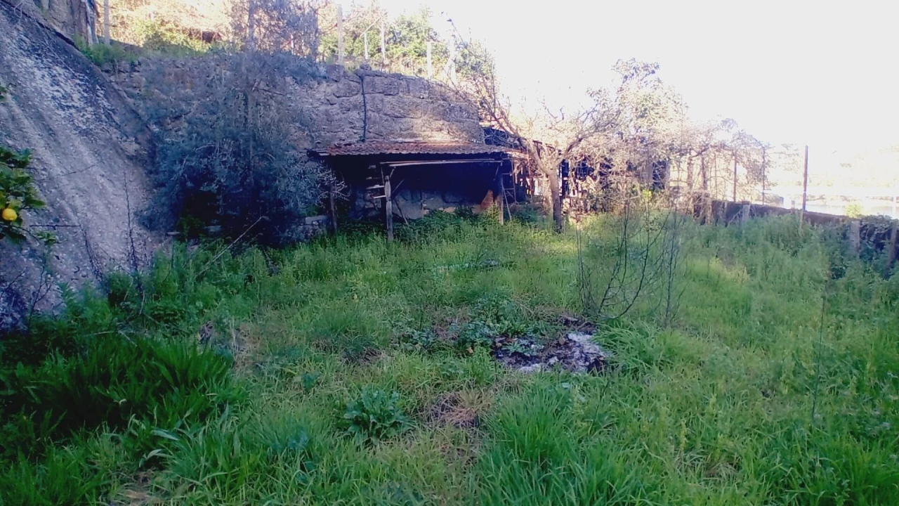 Moradia T3 para Venda em Santa Comba Dão e Couto do Mosteiro Foto 24