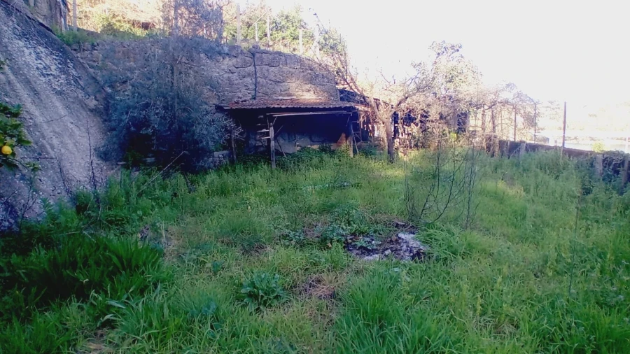 Moradia T3 para Venda em Santa Comba Dão e Couto do Mosteiro Foto 24