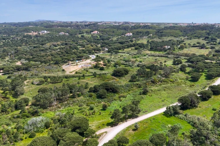 Terreno para Venda em Sesimbra (Castelo) Foto 13