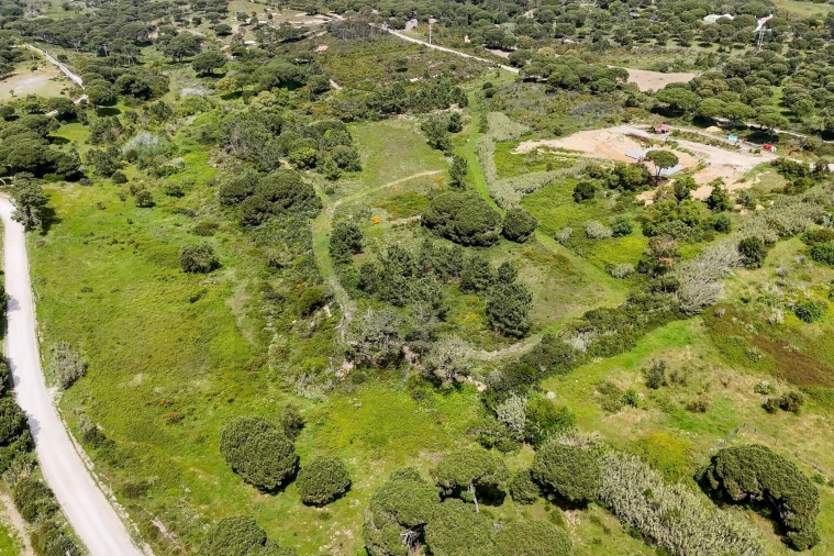 Terreno para Venda em Sesimbra (Castelo) Foto 11