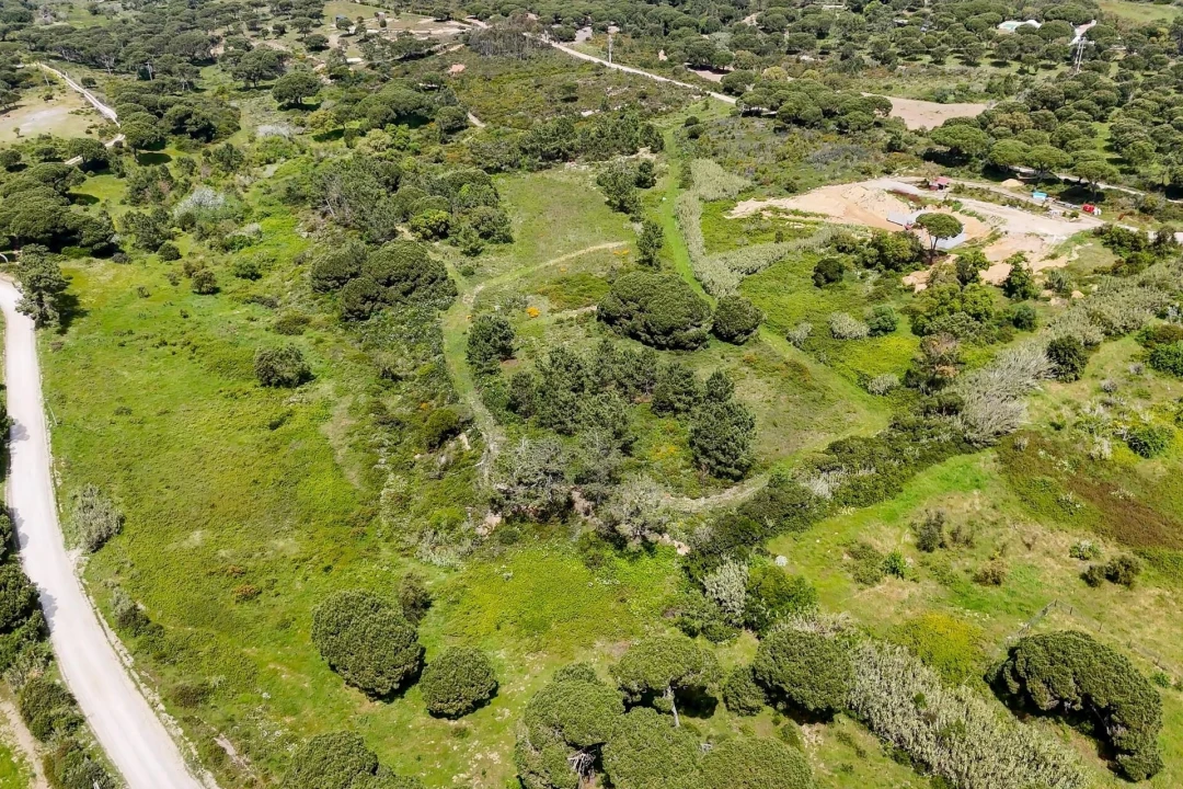 Terreno para Venda em Sesimbra (Castelo) Foto 11