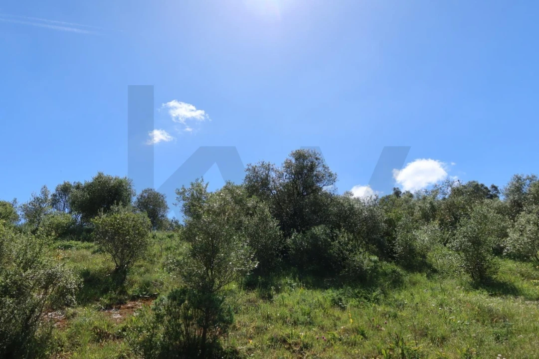 Terreno para Venda em Venda do Pinheiro e Santo Estêvão das Galés Foto 18