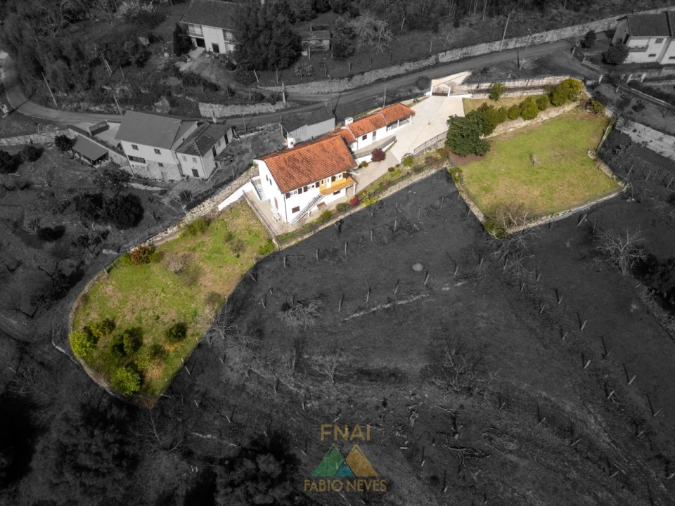 Moradia T3 para Venda em Távora (Santa Maria e São Vicente) Foto 51
