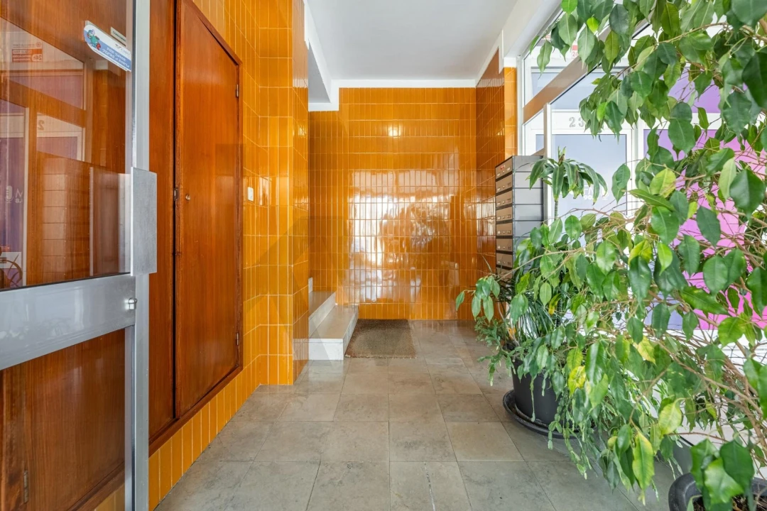 Apartamento T4 para Venda em Subportela, Deocriste e Portela Susã Foto 3