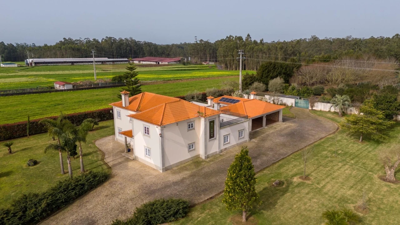 Quinta T3 para Venda em Ovar, São João, Arada e São Vicente de Pereira Jusã Foto 12