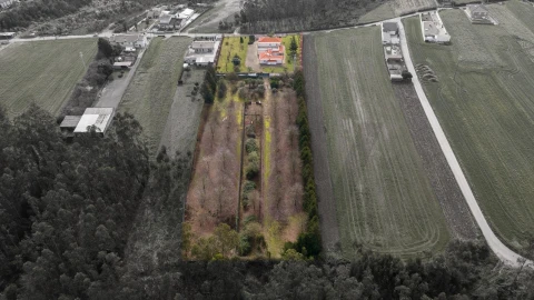 Quinta T3 para Venda em Ovar, São João, Arada e São Vicente de Pereira Jusã