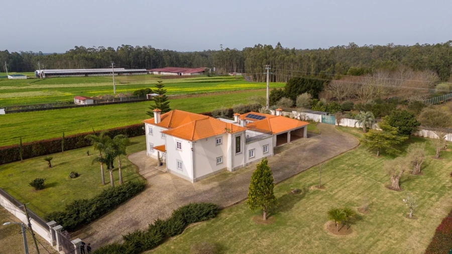 Quinta T3 para Venda em Ovar, São João, Arada e São Vicente de Pereira Jusã Foto 13