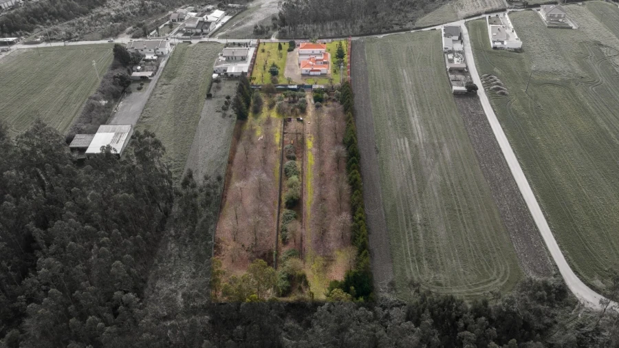 Quinta T3 para Venda em Ovar, São João, Arada e São Vicente de Pereira Jusã Foto 5
