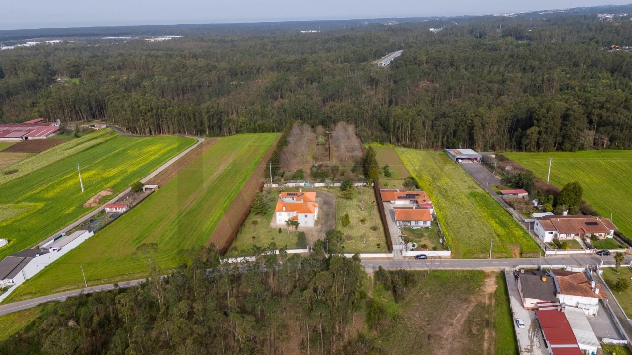Quinta T3 para Venda em Ovar, São João, Arada e São Vicente de Pereira Jusã Foto 1
