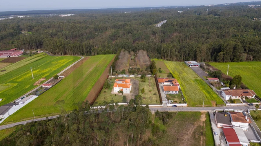 Quinta T3 para Venda em Ovar, São João, Arada e São Vicente de Pereira Jusã