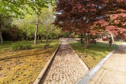 Quinta T3 para Venda em Lustosa e Barrosas (Santo Estêvão)