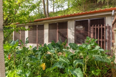 Quinta T3 para Venda em Lustosa e Barrosas (Santo Estêvão)