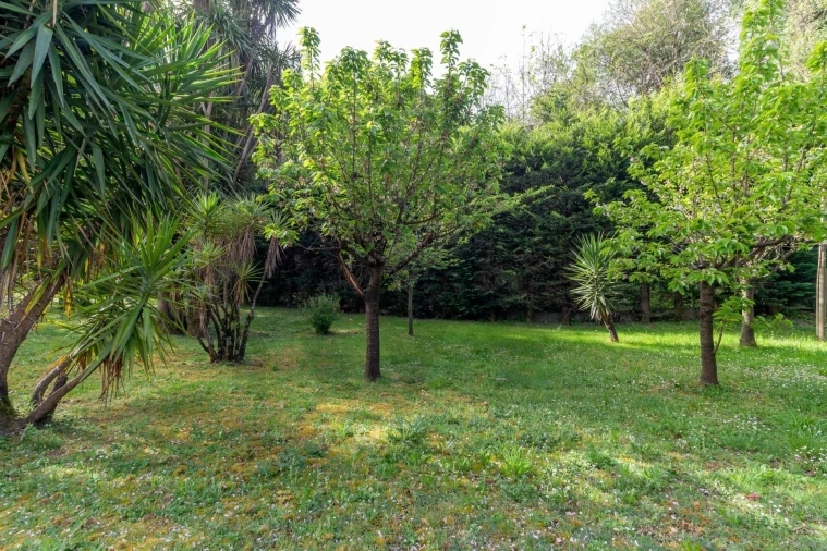 Quinta T3 para Venda em Lustosa e Barrosas (Santo Estêvão) Foto 88