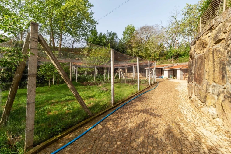 Quinta T3 para Venda em Lustosa e Barrosas (Santo Estêvão) Foto 89