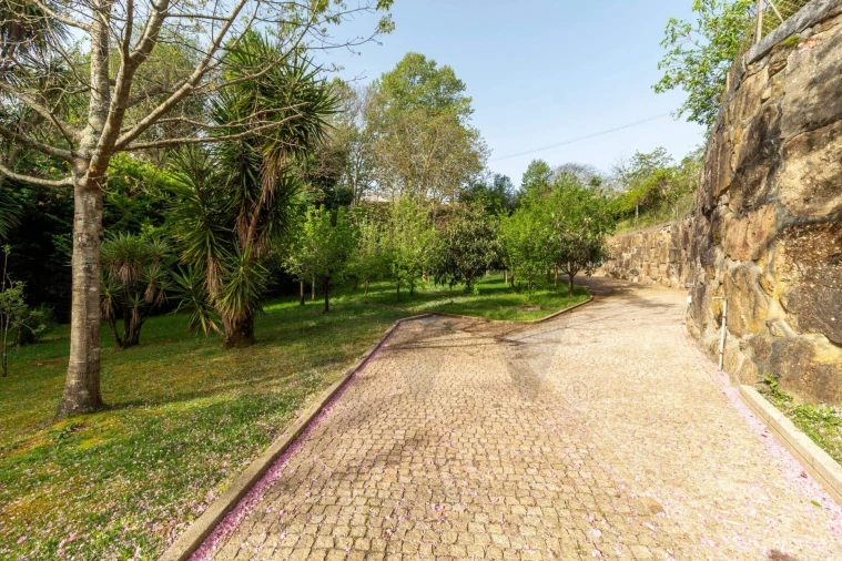 Quinta T3 para Venda em Lustosa e Barrosas (Santo Estêvão) Foto 87