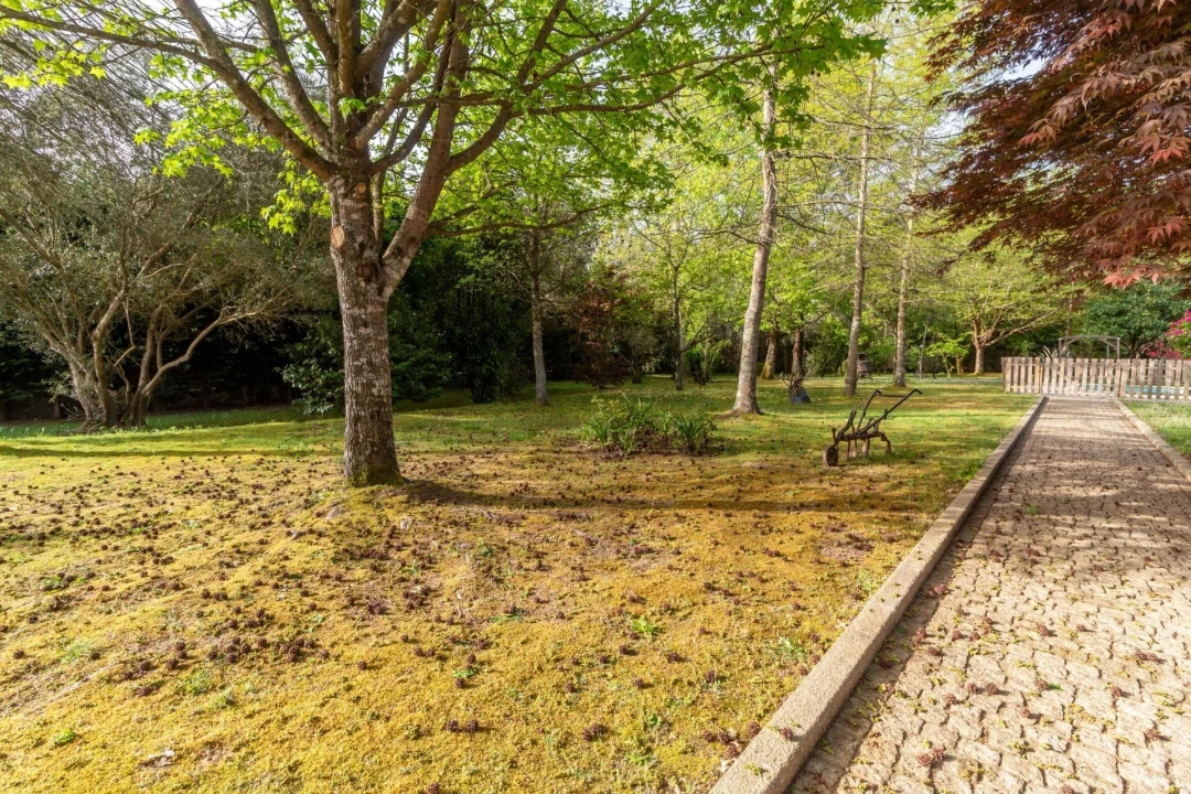 Quinta T3 para Venda em Lustosa e Barrosas (Santo Estêvão) Foto 67