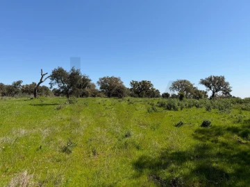 Terreno para Venda em São Domingos e Vale de Água