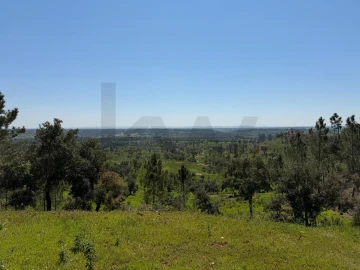Terreno para Venda em São Domingos e Vale de Água