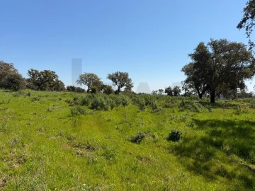 Terreno para Venda em São Domingos e Vale de Água