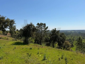 Terreno para Venda em São Domingos e Vale de Água