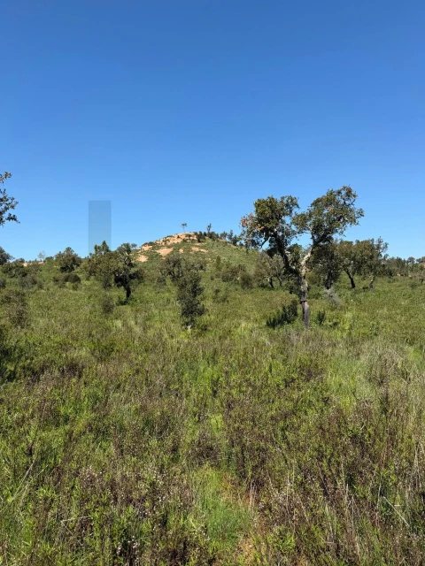 Terreno para Venda em São Domingos e Vale de Água